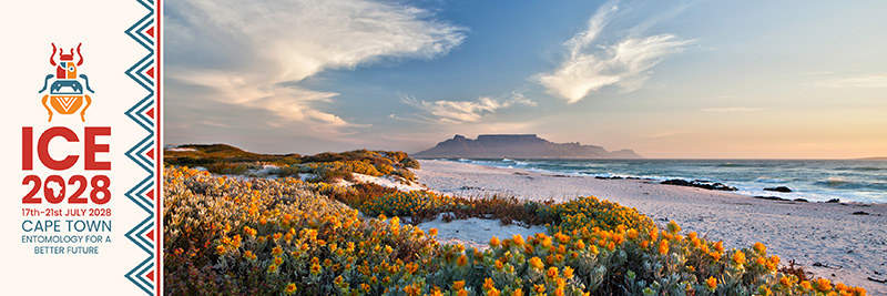 XXVIII International Congress of Entomology (ICE 2028), 17-21 July 2028, Cape Town, South Africa: Banner